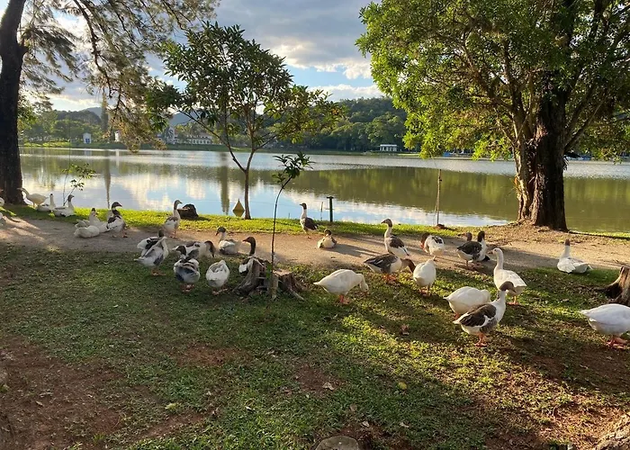 Edificio Na Rua Do Parque Das Aguas